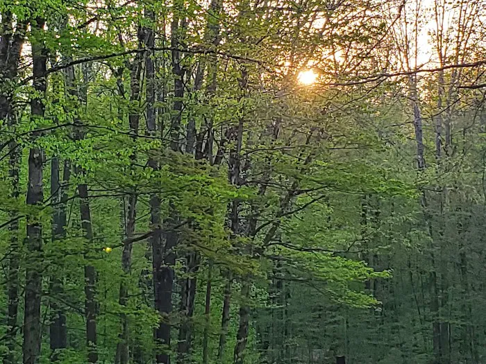 Cherry Ridge Campground 7