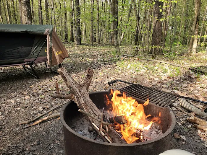 Cherry Ridge Campground 1