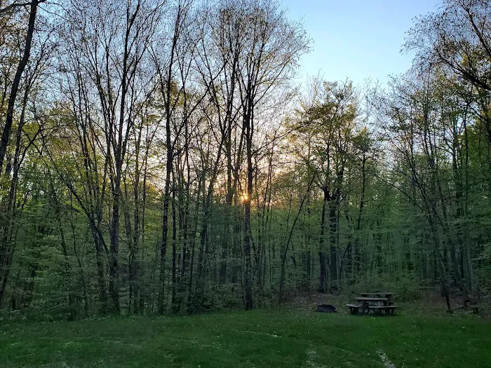 Cherry Ridge Campground 3