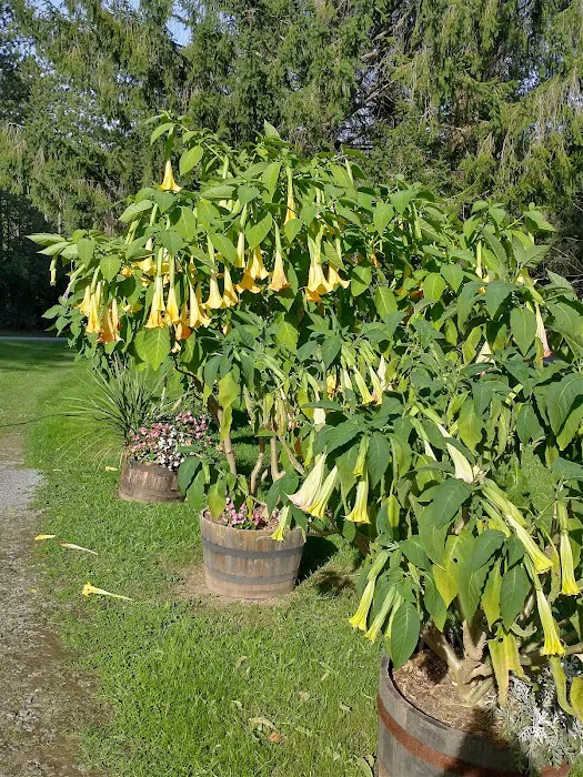 Lebanon Reservoir Campground 9