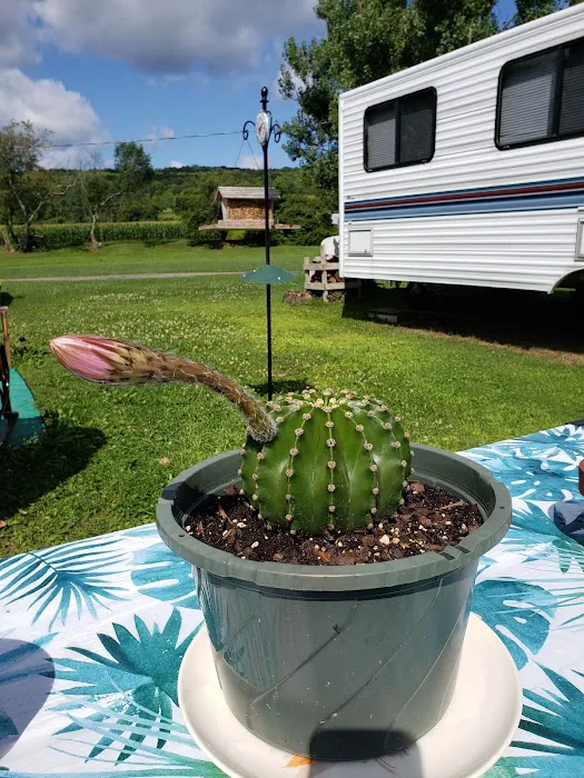 Brookview RV Park & Campground 4