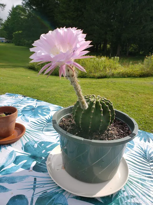 Brookview RV Park & Campground 6