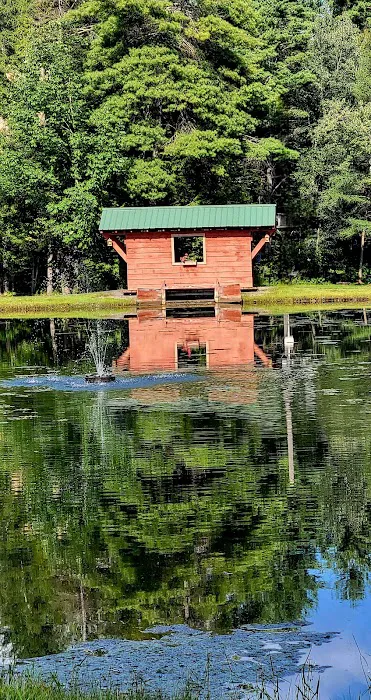 Royal Mountain Campground 2