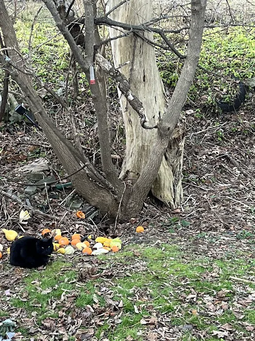 Berkshire Hill Estates 1