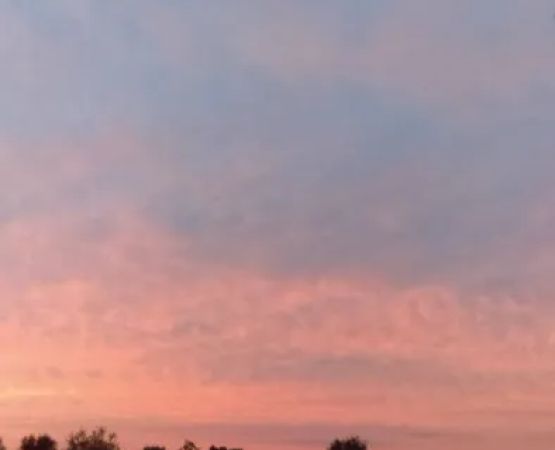 Northway Mobile Home Community