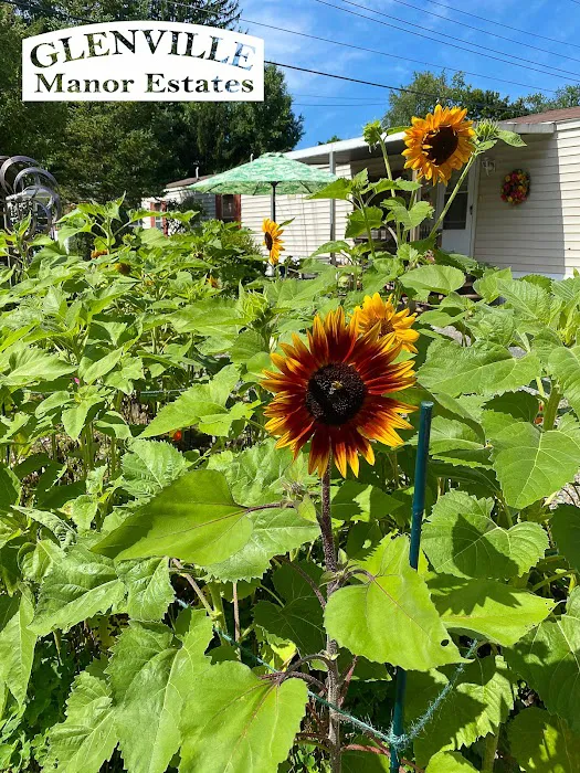 Glenville Manor Estates 5