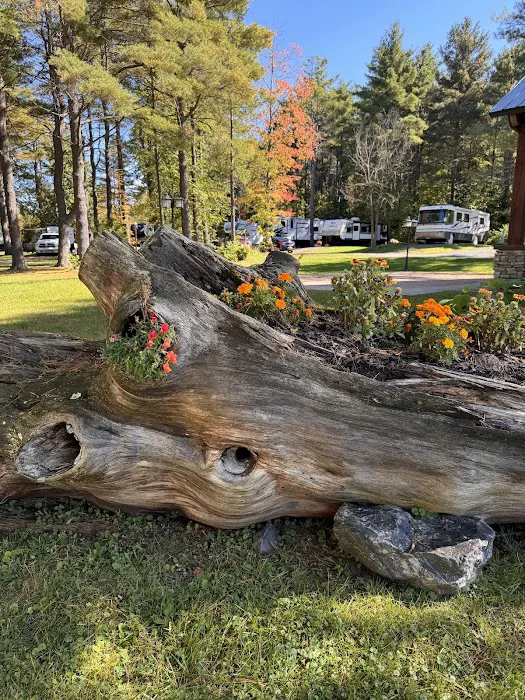 Pine Park RV Campground and Pavilion 4