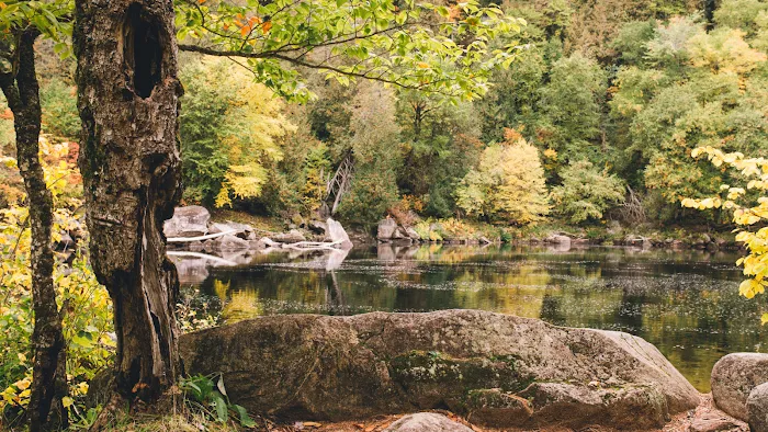 3 Acre Woodz Luxury Canvas Lodges 0