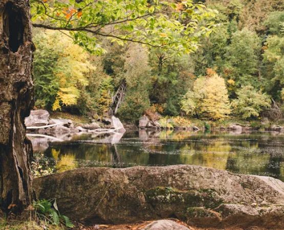 3 Acre Woodz Luxury Canvas Lodges