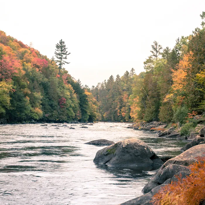 3 Acre Woodz Luxury Canvas Lodges 8