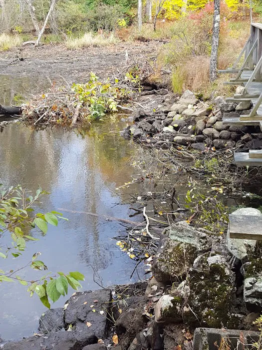 Girl Scout Camp Woodhaven 3