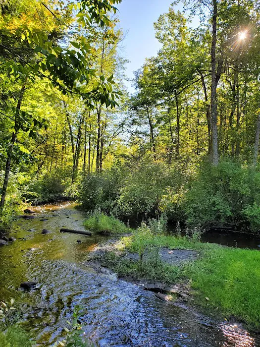 Girl Scout Camp Woodhaven 5