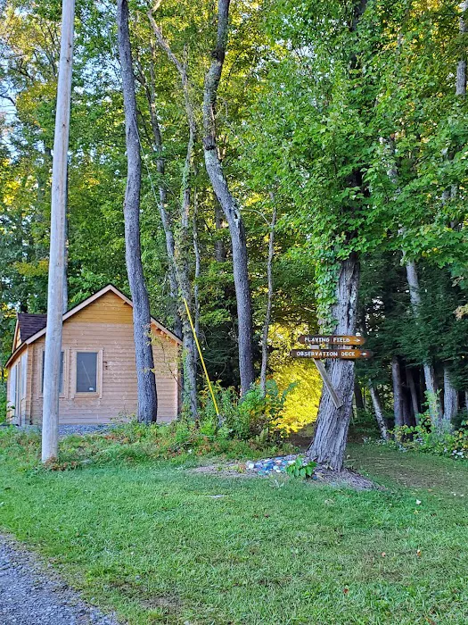 Girl Scout Camp Woodhaven 2