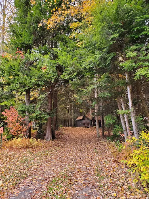 Girl Scout Camp Woodhaven 8