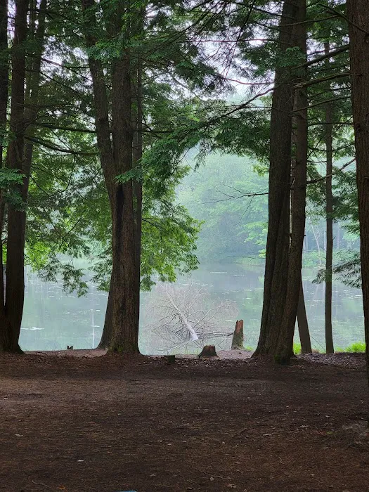 Girl Scout Camp Woodhaven 0