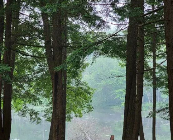 Girl Scout Camp Woodhaven