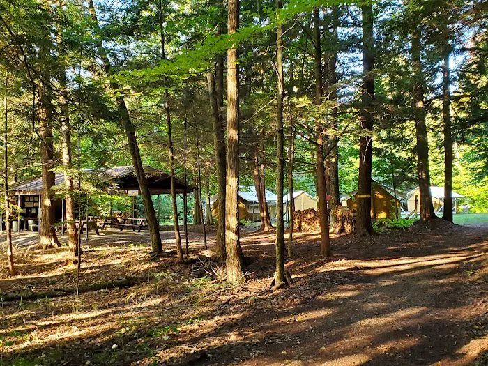 Girl Scout Camp Woodhaven 1