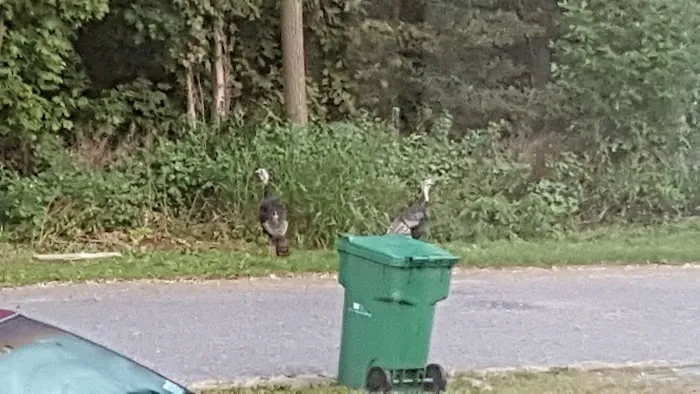 Forest Hills Mobile Home Park 1