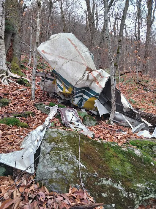 Mt. Greylock Campsite Park 2