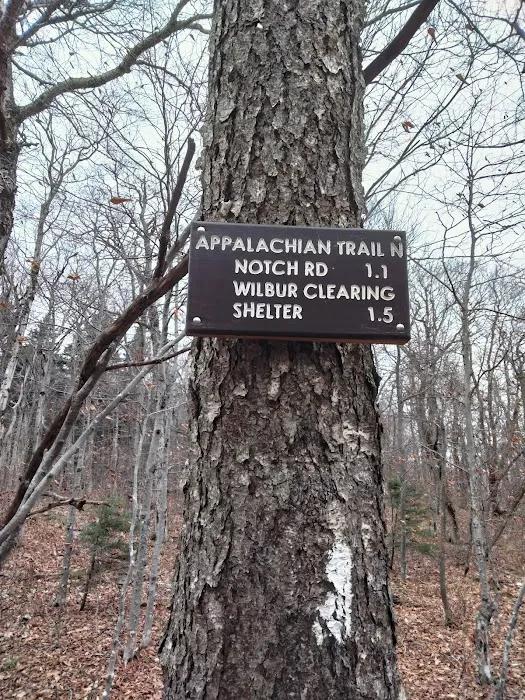 Mt. Greylock Campsite Park 8