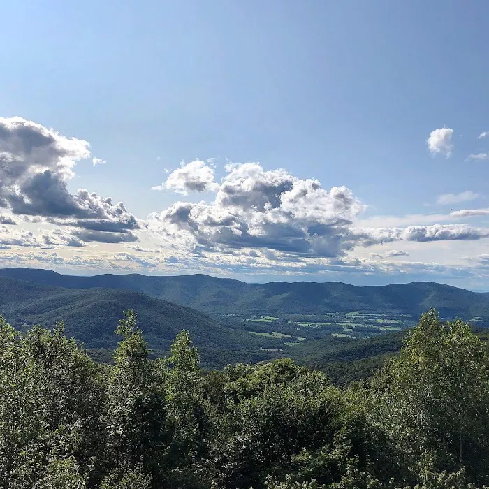 Mt. Greylock Campsite Park 4