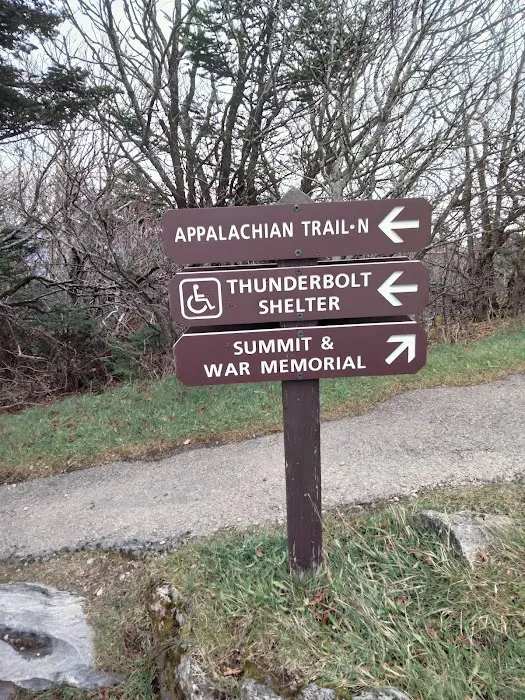 Mt. Greylock Campsite Park 7