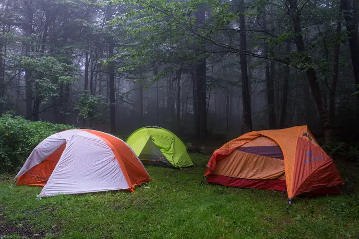 Sperry Road Campground 5