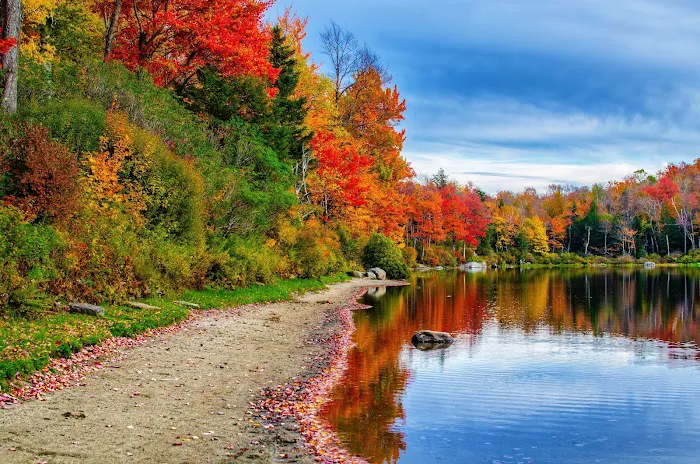 Sperry Road Campground 4