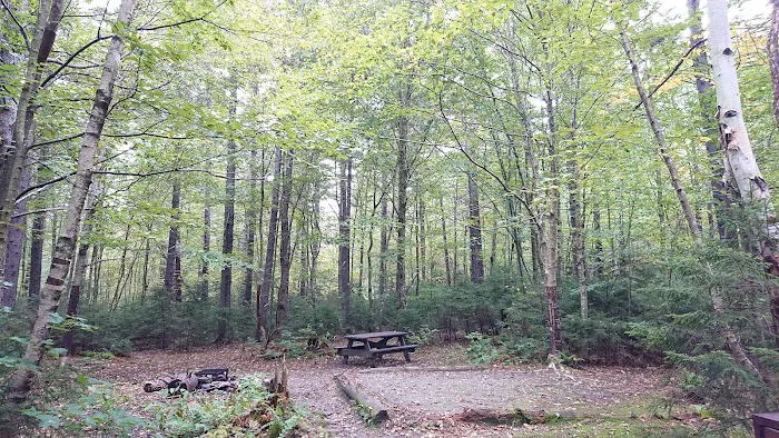 Sperry Road Campground 3
