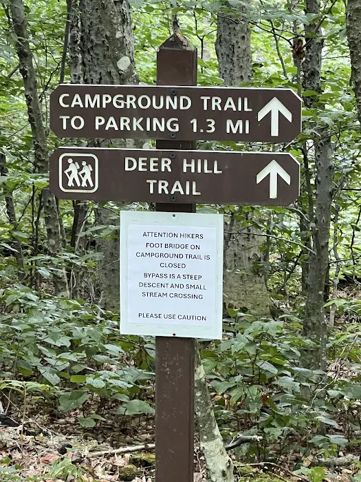 Sperry Road Campground 1