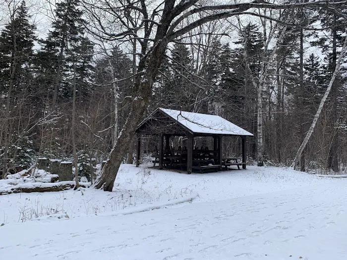 Sperry Road Campground 6