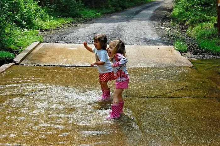 Shady Brook Campground 6