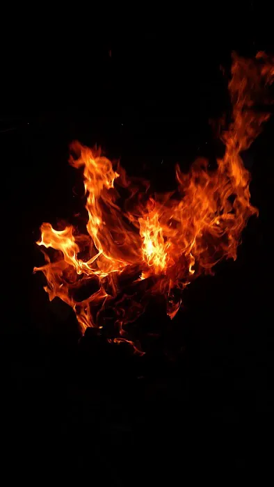 Shady Brook Campground 8