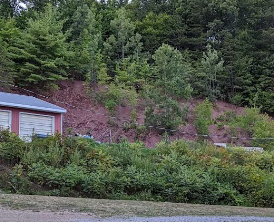 Gray Squirrel Campground