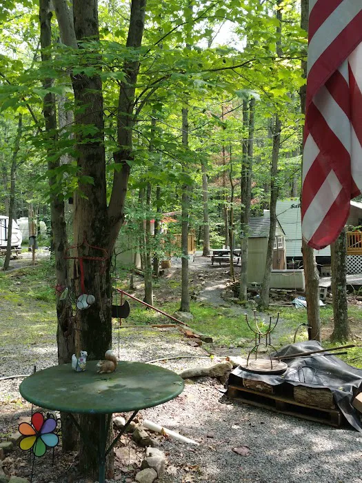 Gray Squirrel Campground 1