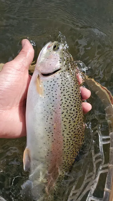 Penn's Creek Campground 1