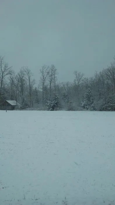 Mount of Blessing Camp 0