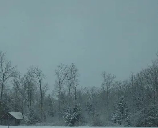 Mount of Blessing Camp