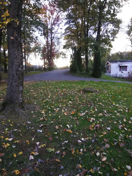 Regent Acres Mobile Home Park 6