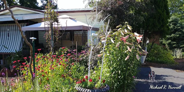 Regent Acres Mobile Home Park 4