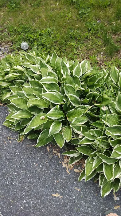 Regent Acres Mobile Home Park 8