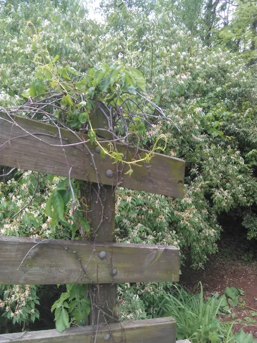 Regency Mobile Home Parks 5