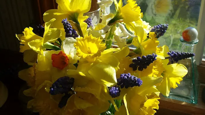 Regency Mobile Home Parks 4