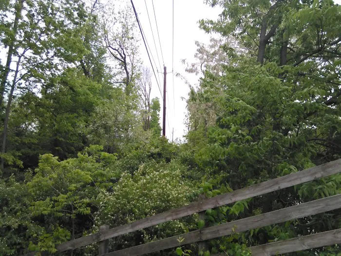 Regency Mobile Home Parks 1