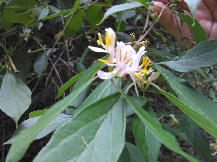 Regency Mobile Home Parks 3