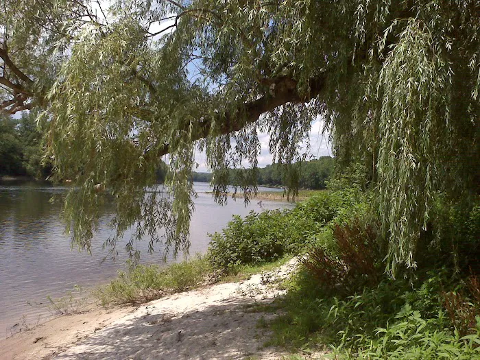 A1 Susquehanna Campground 9