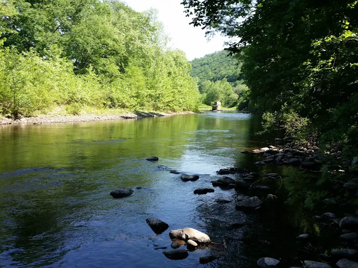 Haleeka Campground 8