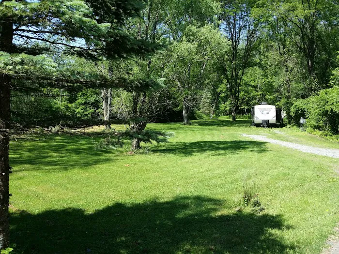 Haleeka Campground 5