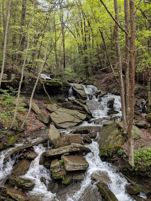 Ives Run Campground 8