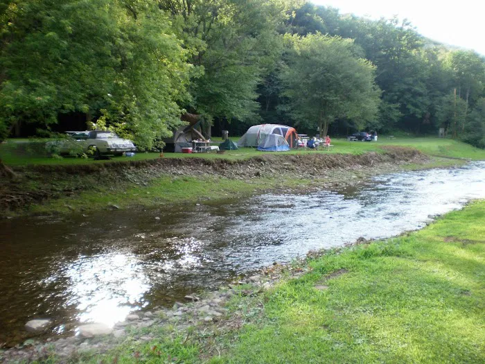 Stony Fork Creek Campground 9